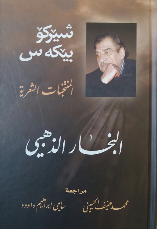 رحلة عبر أبيات مختارة تنبض بالمشاعر والصور المذهلة تنقل القارئ إلى عوالم الشعر الساحرة وتكشف عن جوهر الإحساس الإنساني بأسلوب بديع ومؤثر